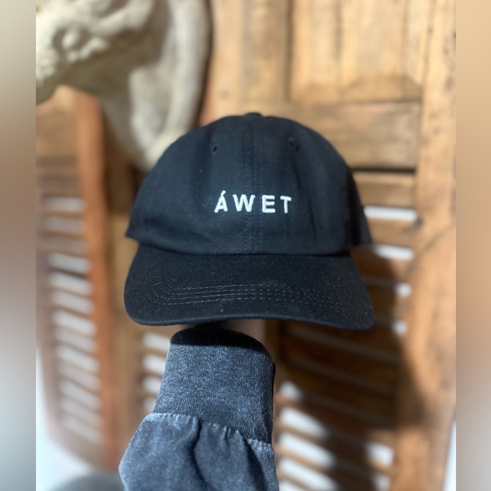 ÁWET Black Logo Dad Cap Williamsburg Porter Designer Hat NWT